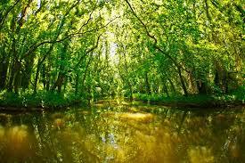 Baltata Milli Parkı